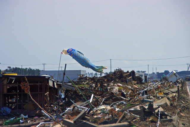 津波で多くの家が流されました。